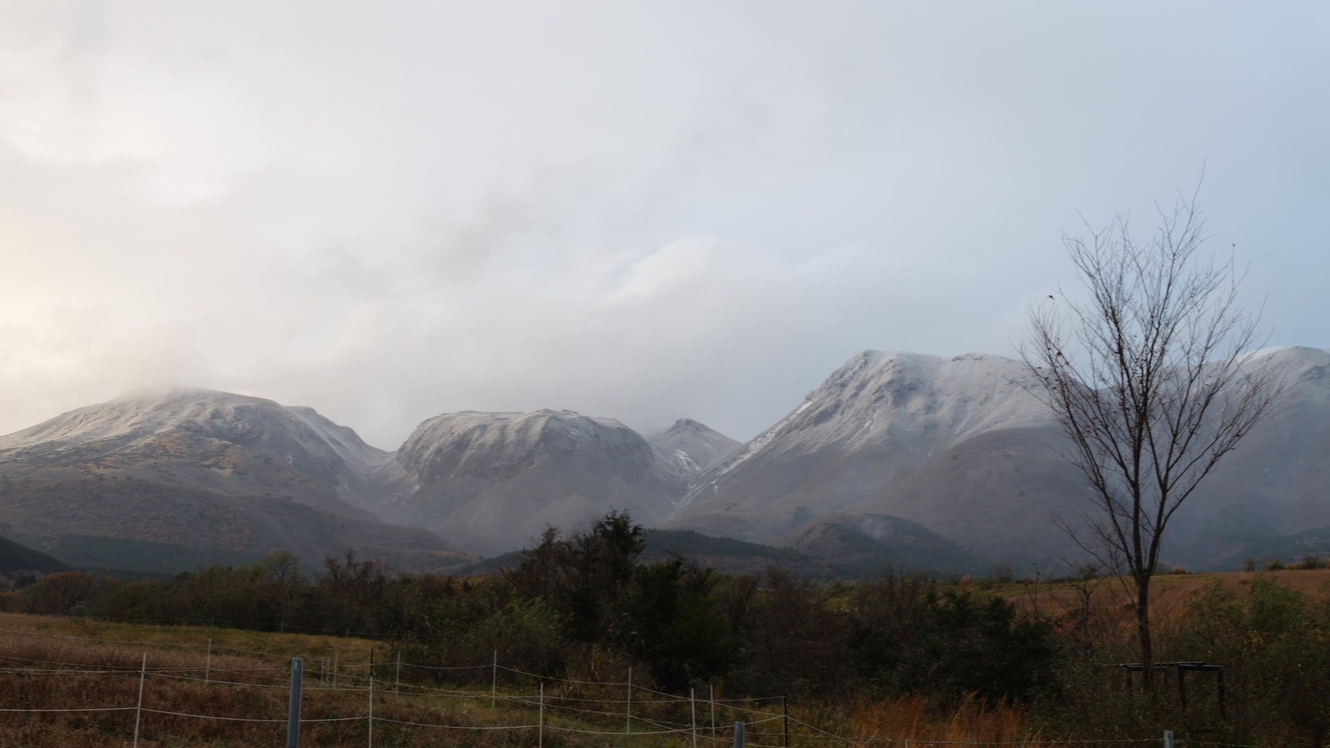 長崎県新上五島町のふるさと納税に「釣りよかでしょう。」コラボ返礼品が登場!