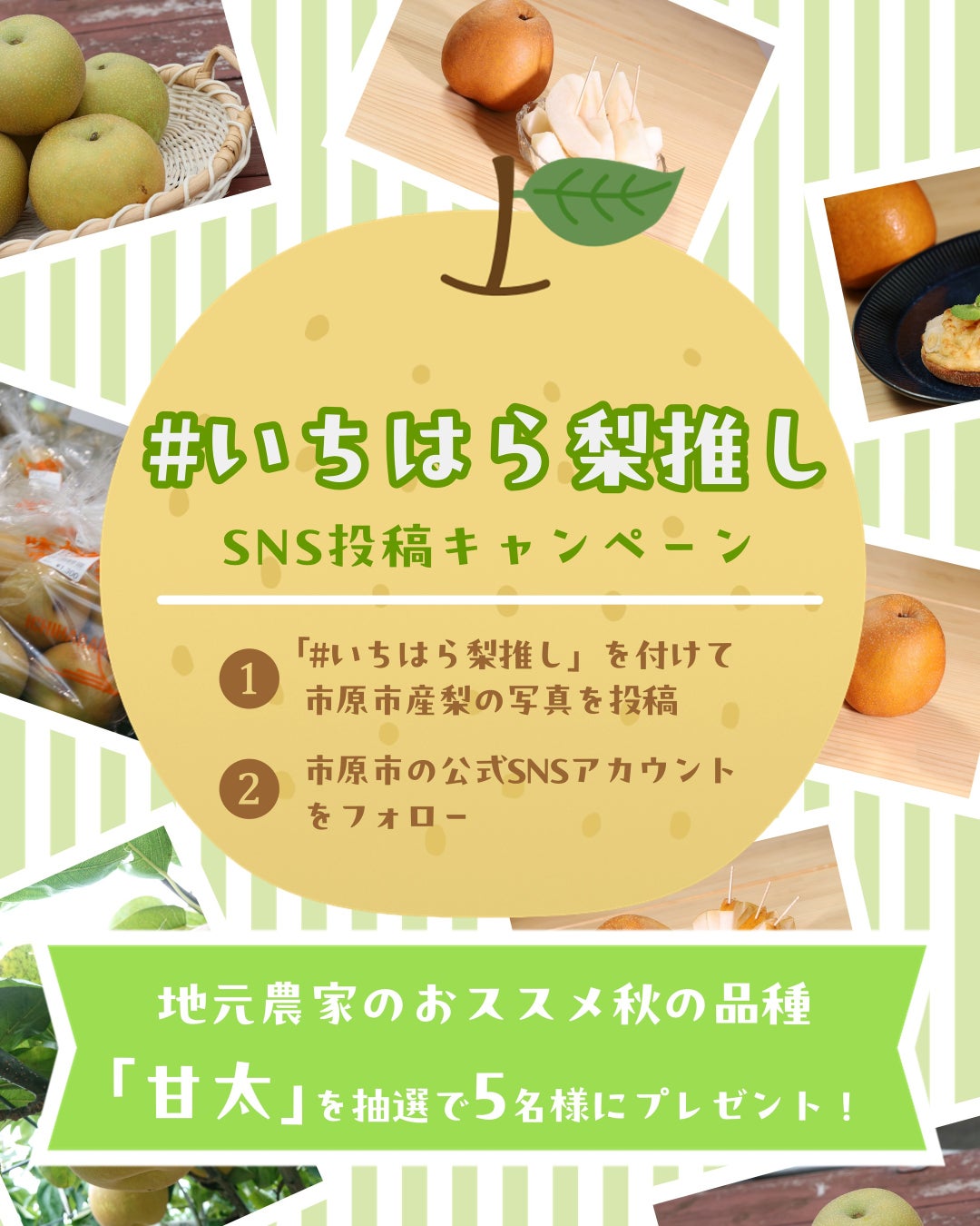 東京発、「岡田謹製 あんバタ屋」ルミネ新宿に期間限定出店。数量限定『あんバタパン』から秋の新作『あんバタパン・おさつ』が催事初登場。