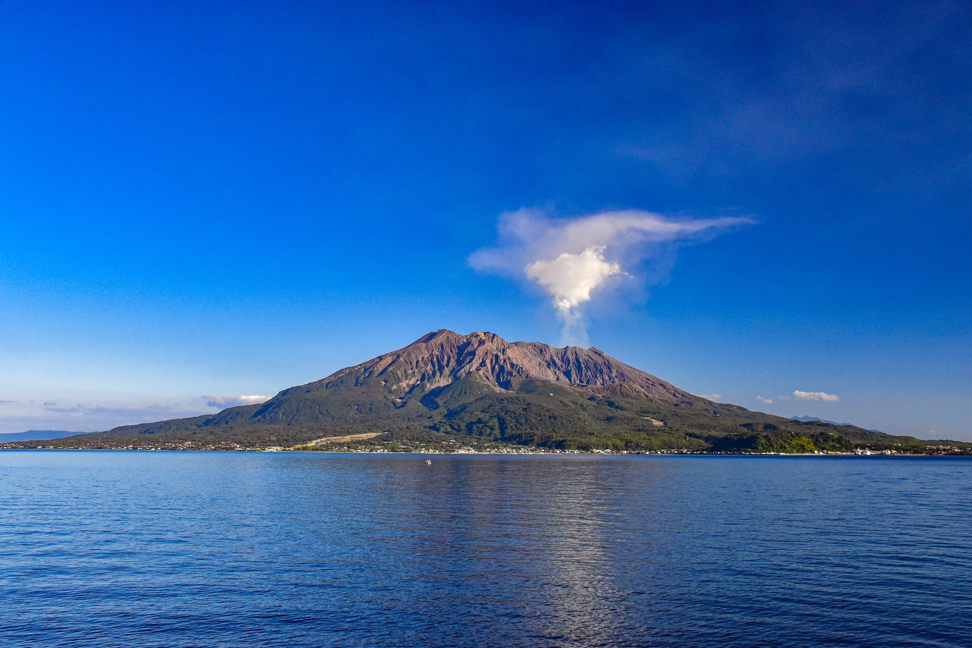 【コープみらい・コープみらい財団】コープみらい奨学生に演劇の感動を届けようミュージカル『四月は君の嘘』に奨学生を招待