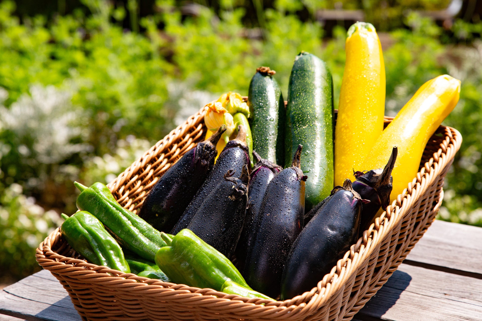 ドイツから海を越えて乾杯！「オクトーバーフェスト2025 in アーバンドック ららぽーと豊洲」