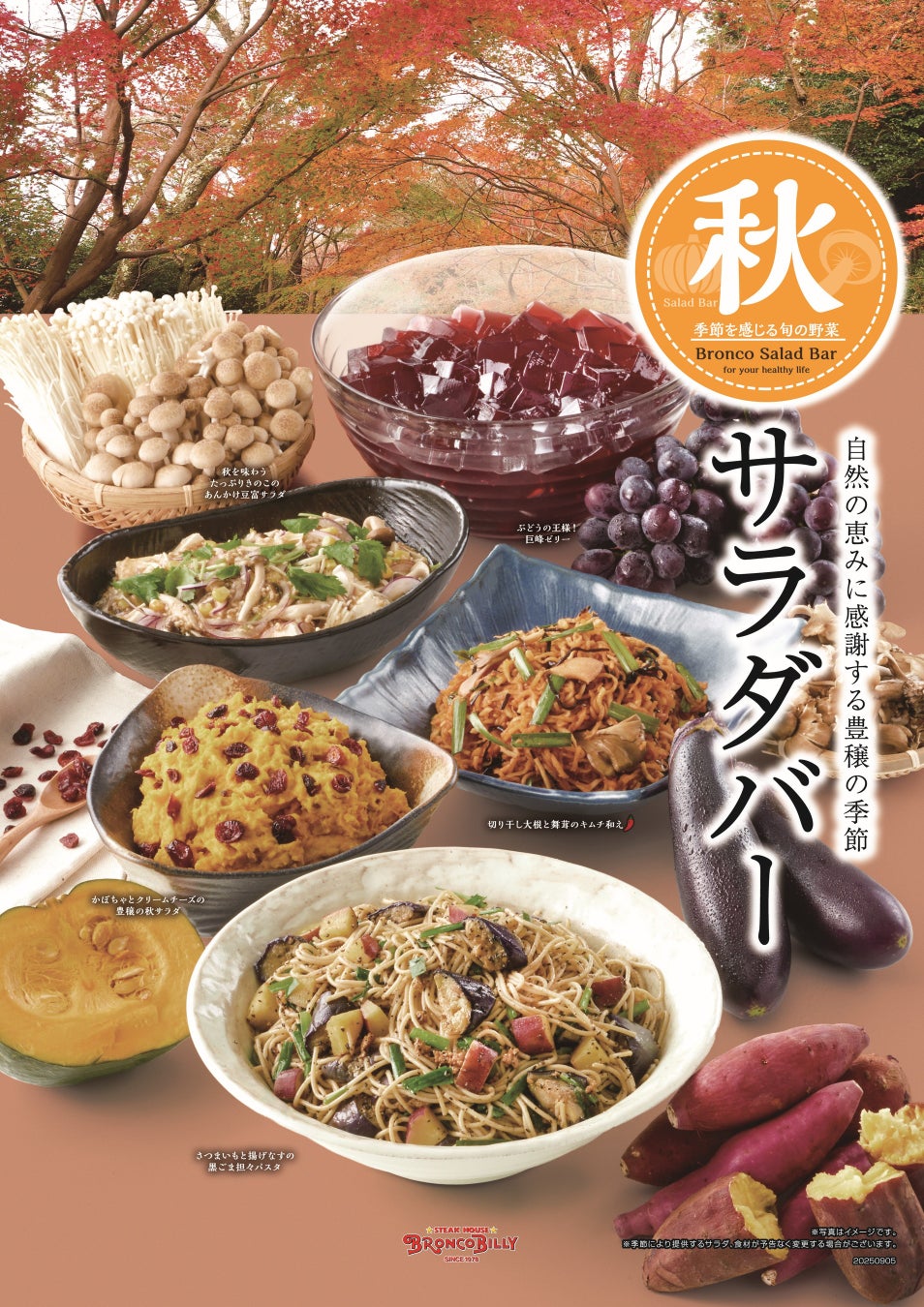 「やよい軒」新TVCM「こだわりの特撰シリーズ地鶏まぶし定食」篇