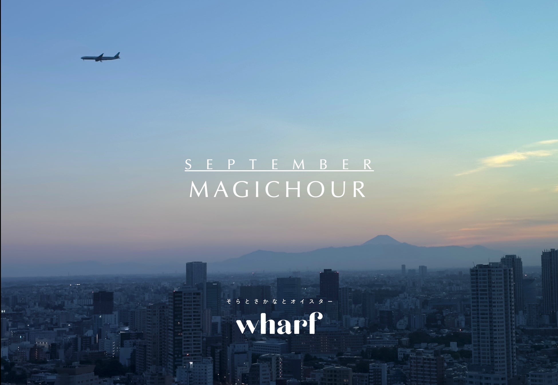 首都高PAで「首都高民営化20周年記念メニューフェア」を実施します