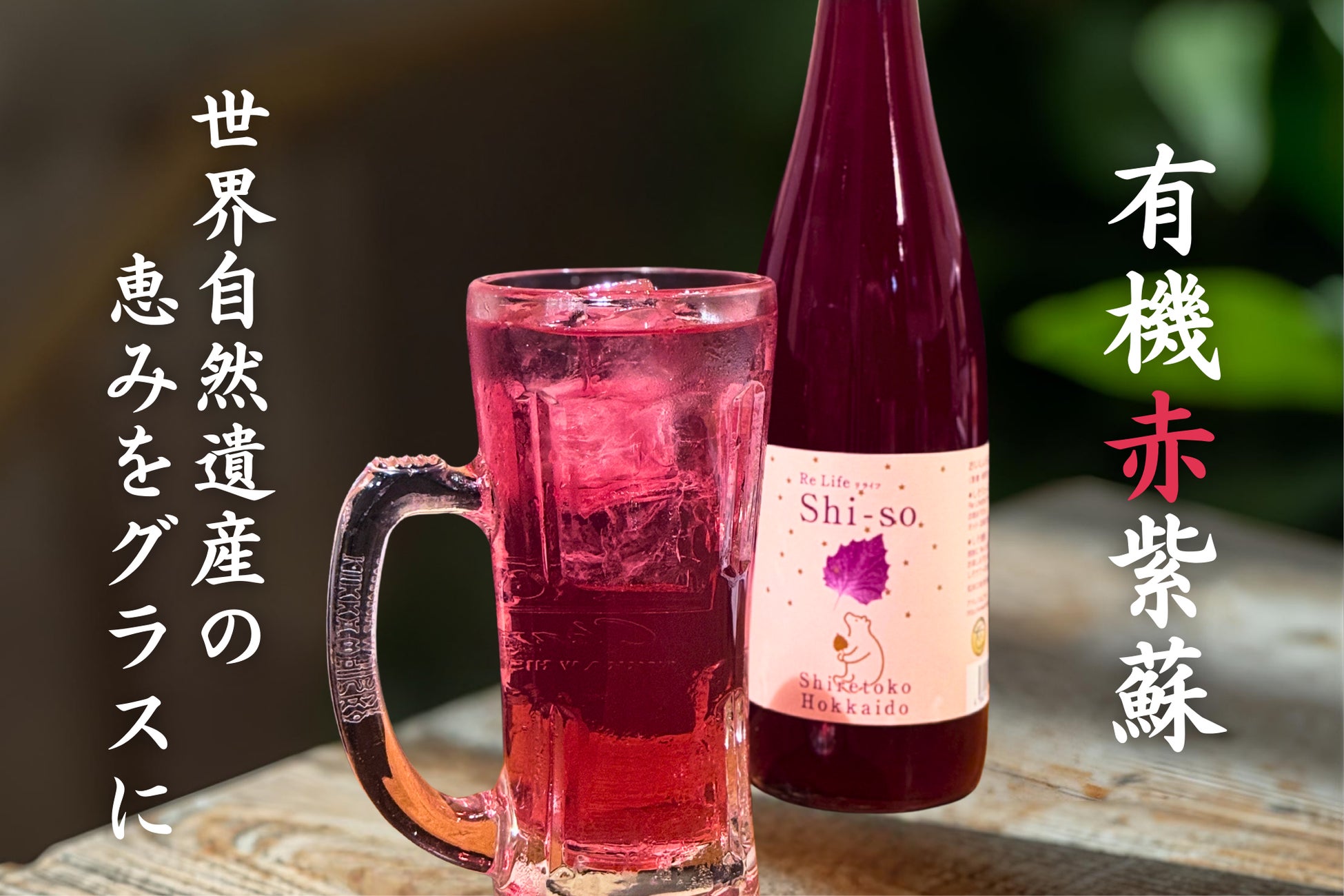 吉祥寺「らーめん専門店ぶぶか」9月11日から『30周年フェア』を開催！