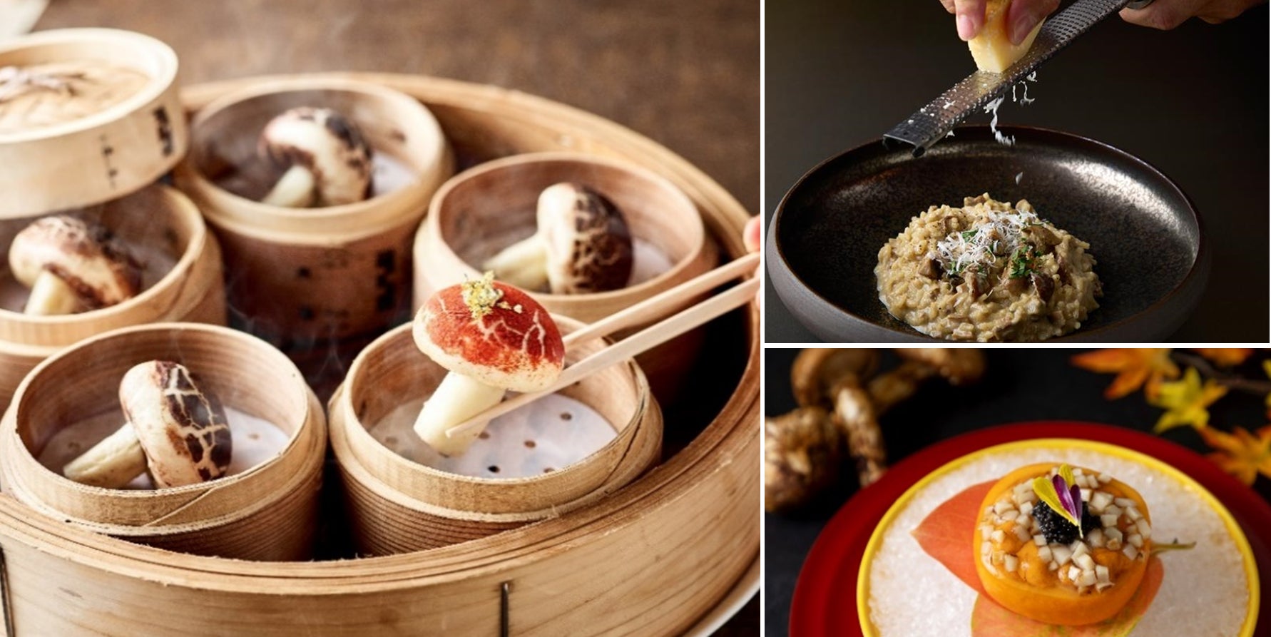 「マルちゃんの中華そば　ガラだし醤油　２人前」「同　ガラだし味噌　２人前」「同　醤油とんこつ　２人前」「同　鶏だし塩　２人前」リニューアル発売のお知らせ