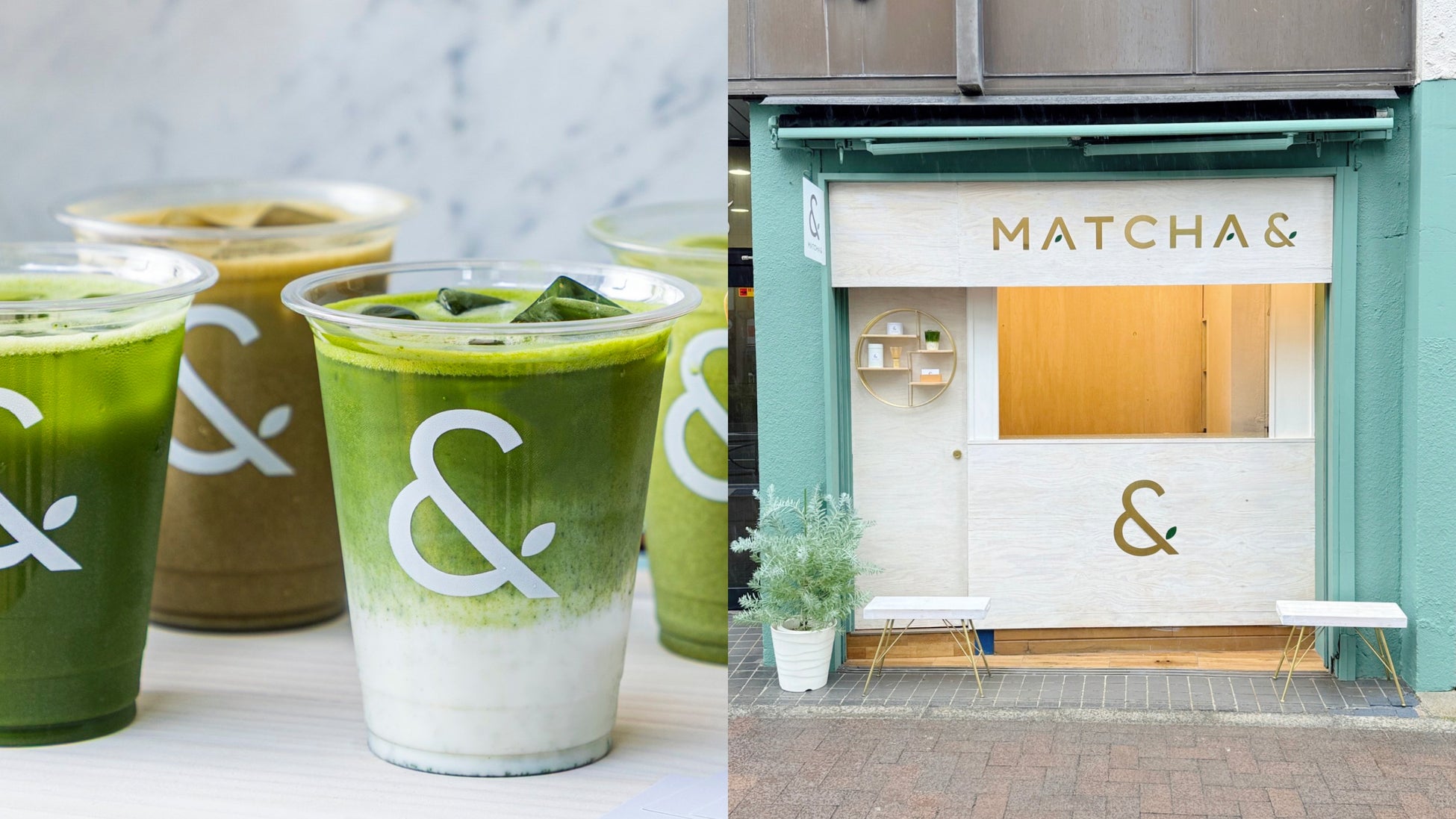 “無かんすい麺”が導く、素材の美味しさがここに。「麺屋たもつの中華そば　醤油の香/塩の香」新発売！