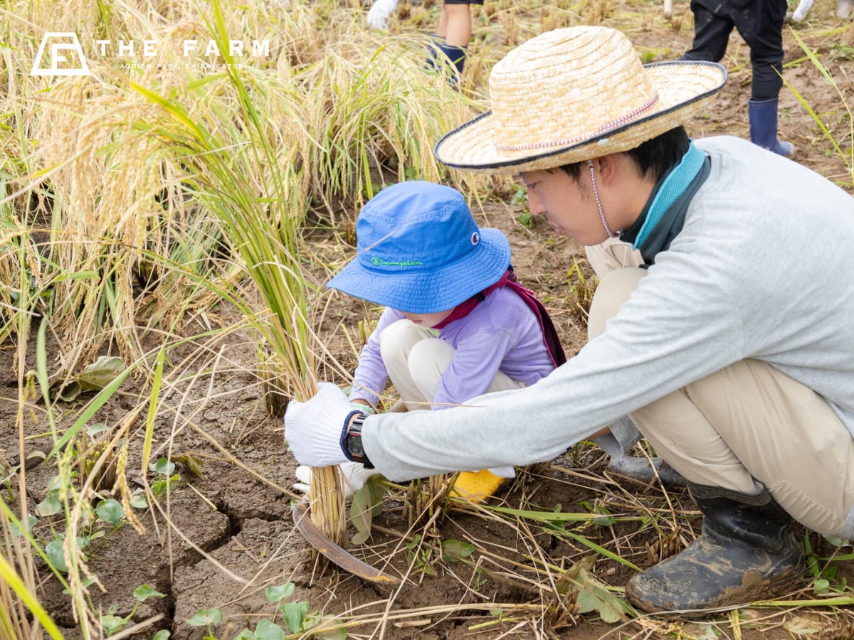 【日本最大級の全日本ぎょうざ祭り出店！】年間売上800万個『ラーメンまこと屋』自慢の焼餃子！2025年9月13日（土）〜9月15日（月祝）