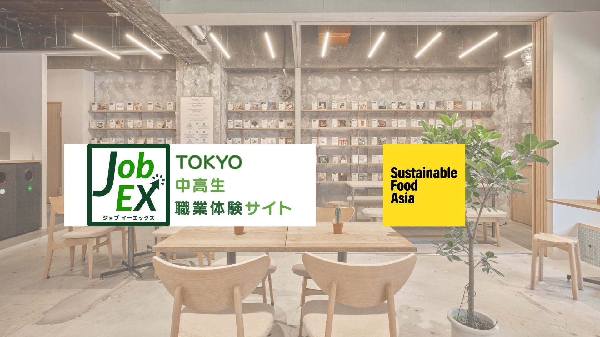 【pure coco TOKYO（ピュアココ トーキョー）】ハロウィンシーズンのプチギフトに　『ピュアココ ハロウィンキューブ』2025年9月17日（水）発売