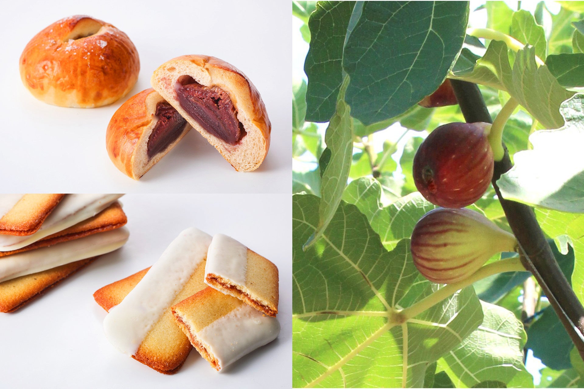 元気の秘訣は“食べる力”約3人に1人は、「健康のために食事を我慢」？！