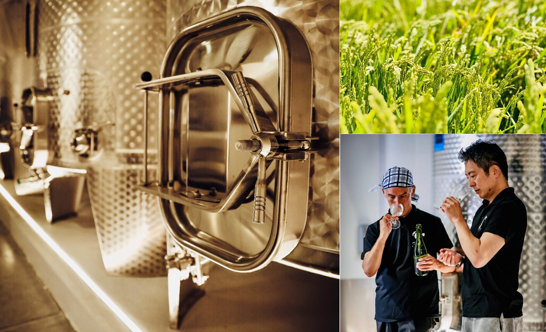 ◆関大万博部が非常食・クラフトコーラ・UDFを発信◆ 人と文化が繋がるサスティナブルな未来の食工房