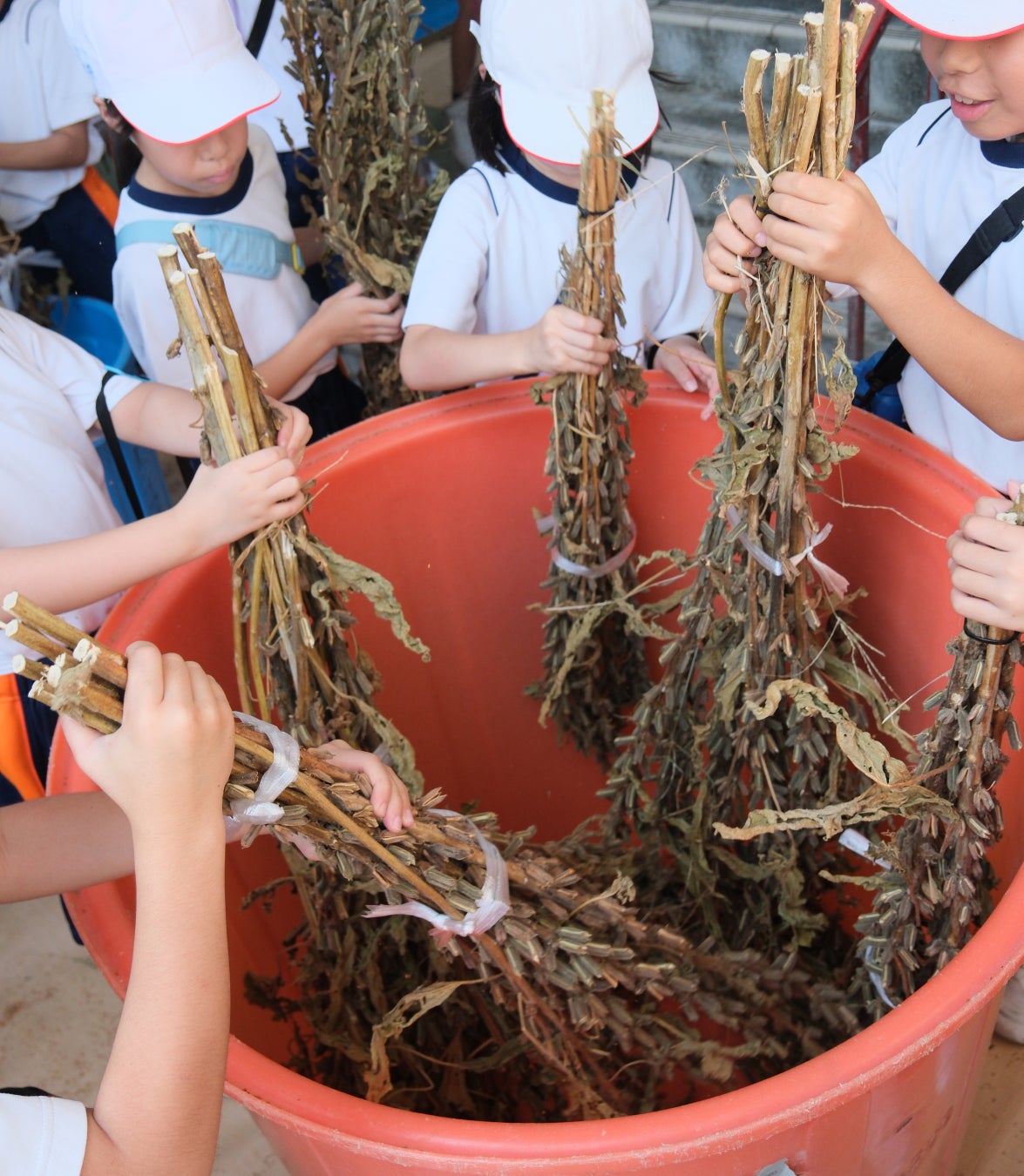 新生 金龍蔵ブランド「祥雲金龍」第3弾！秋の季節限定商品「祥雲金龍 純米吟醸 超辛口ひやおろし」金龍蔵の会限定で発売！
