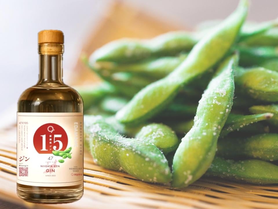 日本発の新製品「ジャックダニエル＆カナダドライ ジンジャーハイボール」2025年9月22日（月）から全国発売開始