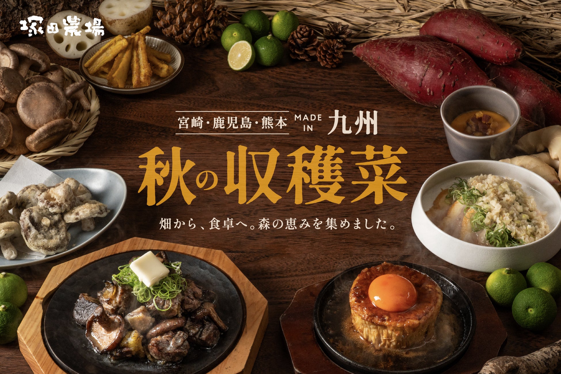 【ホテルメトロポリタン エドモント】聖夜を華やかに演出する６種類のクリスマスケーキ