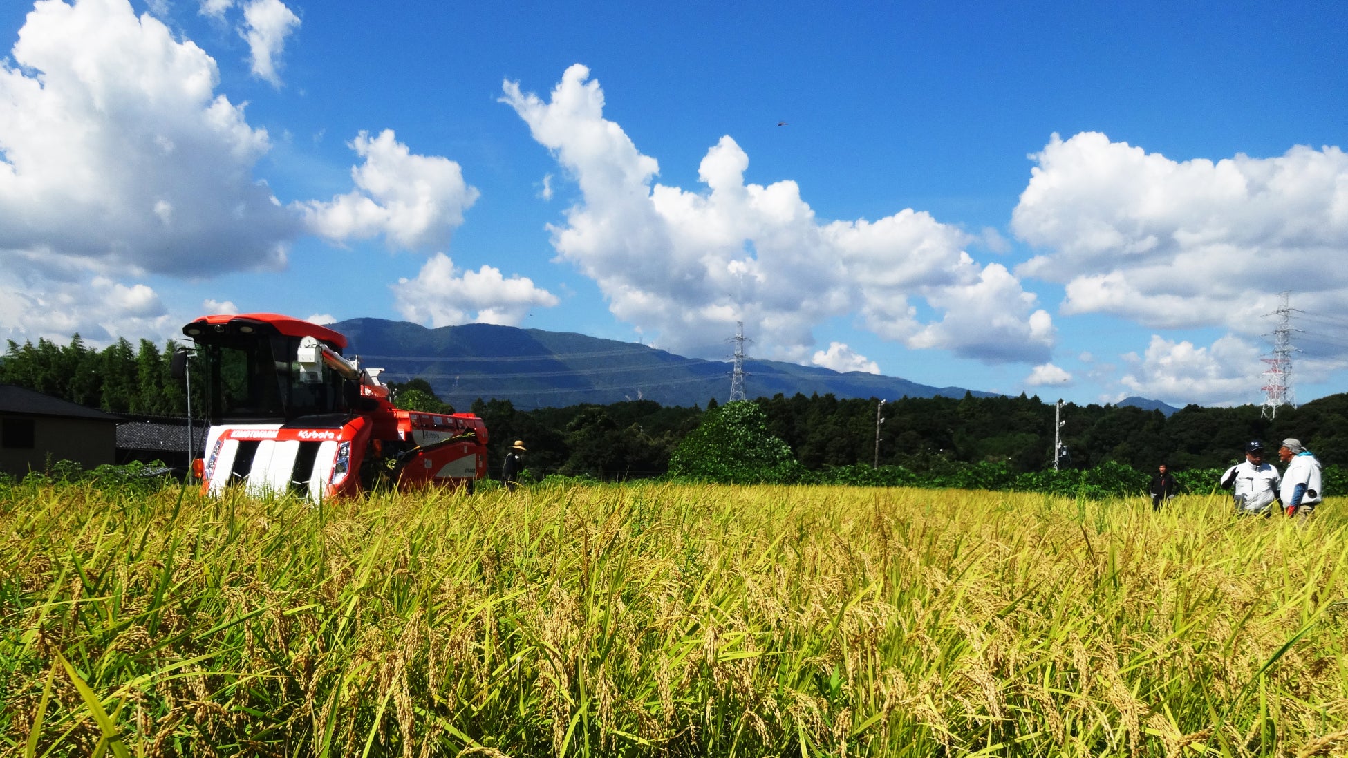 「スーパードライ」「アサヒ生ビール」「GINONレモン」阪神タイガースリーグ優勝を記念したスペシャルパッケージ12月2日数量限定発売