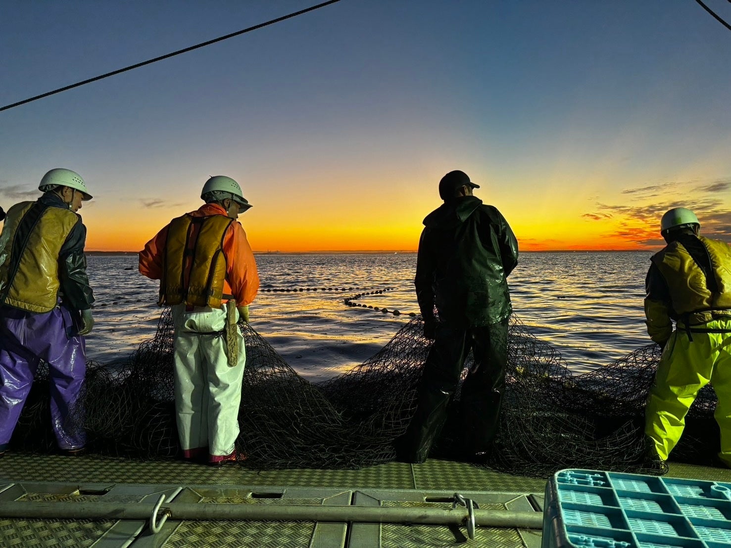 “チョコパイに合う抹茶”を全国大会1位の茶匠が監修　お土産にも人気な抹茶を「濃い＆リッチな味わい」に仕立てた「チョコパイパーティーパック〈茶匠の逸品　濃い抹茶〉」2025年9月16日（火）全国で発売