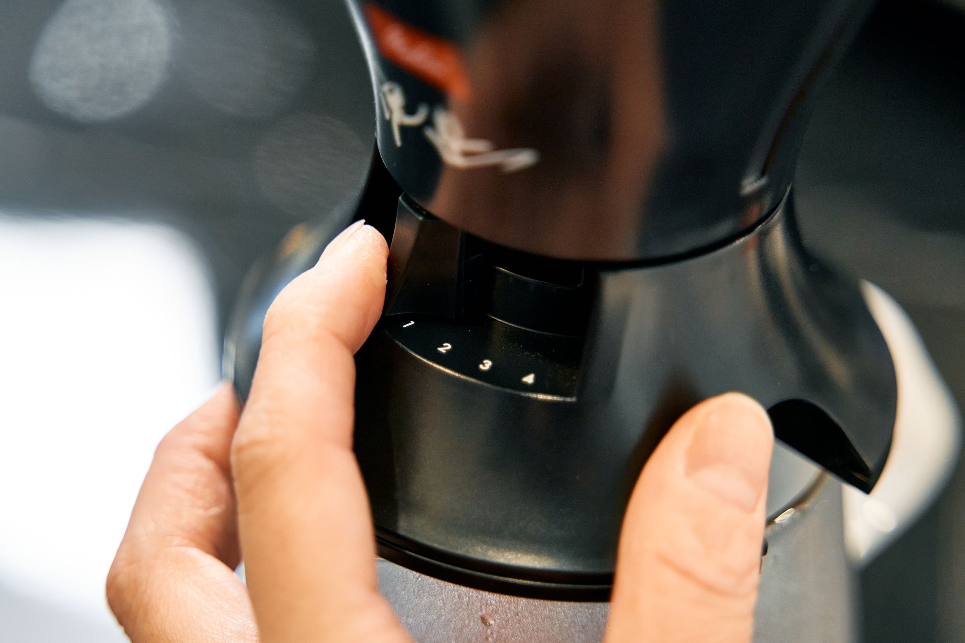 湘南エリアのコーヒーがテラスモール湘南に一堂に集結「湘南海街珈琲祭2025」開催決定！