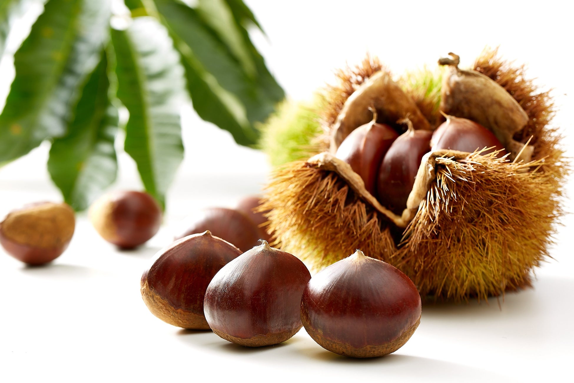 日本のクラフト酒造と造るプレミアムアルコールブランド「CRAFT WONDER」より、“幻のキーツマンゴー“を使用した極上マンゴーリキュール第二弾が2025年9月26日に150本限定で発売