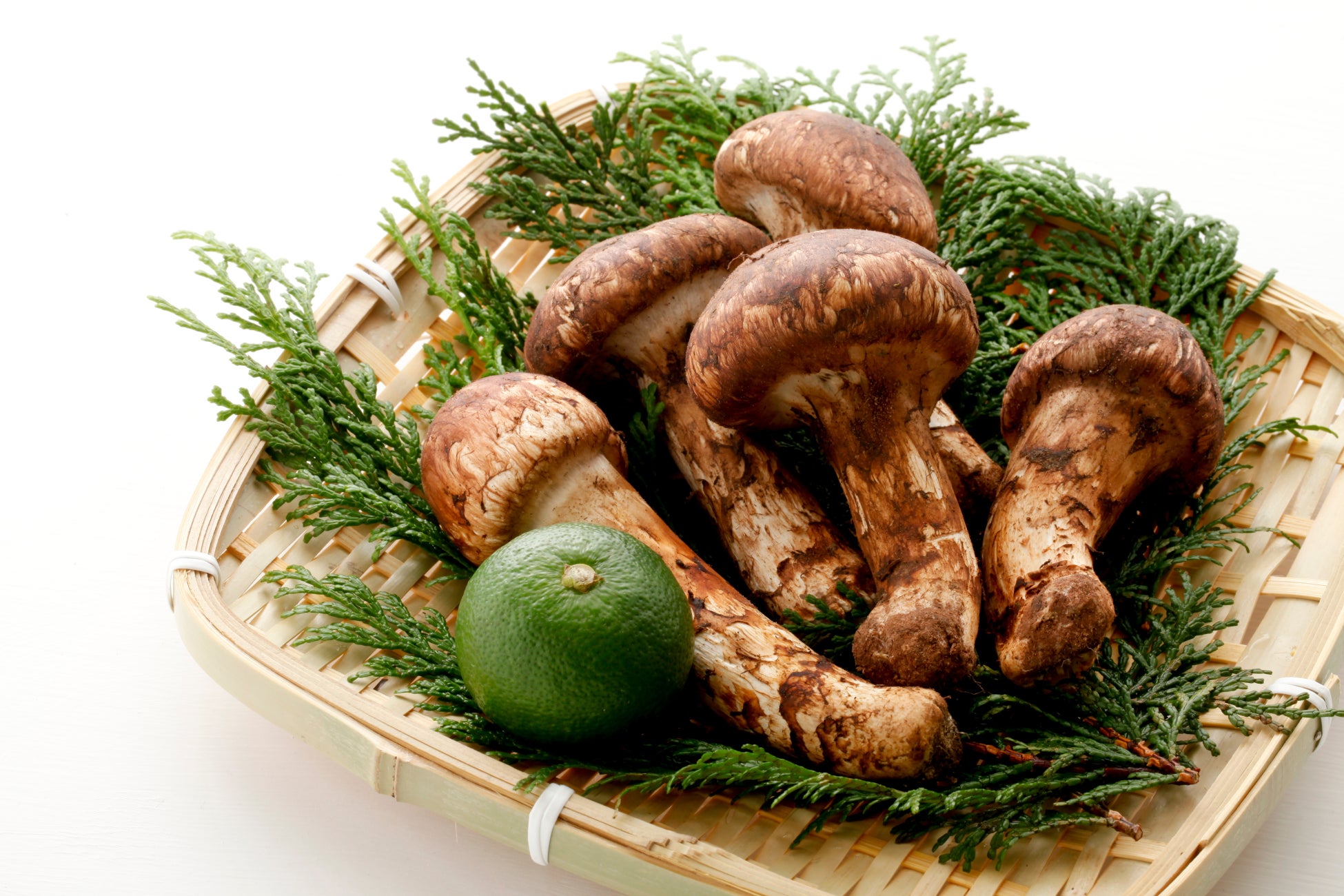 さくらももこの原画が美しい『コジコジ月見まんじゅう』