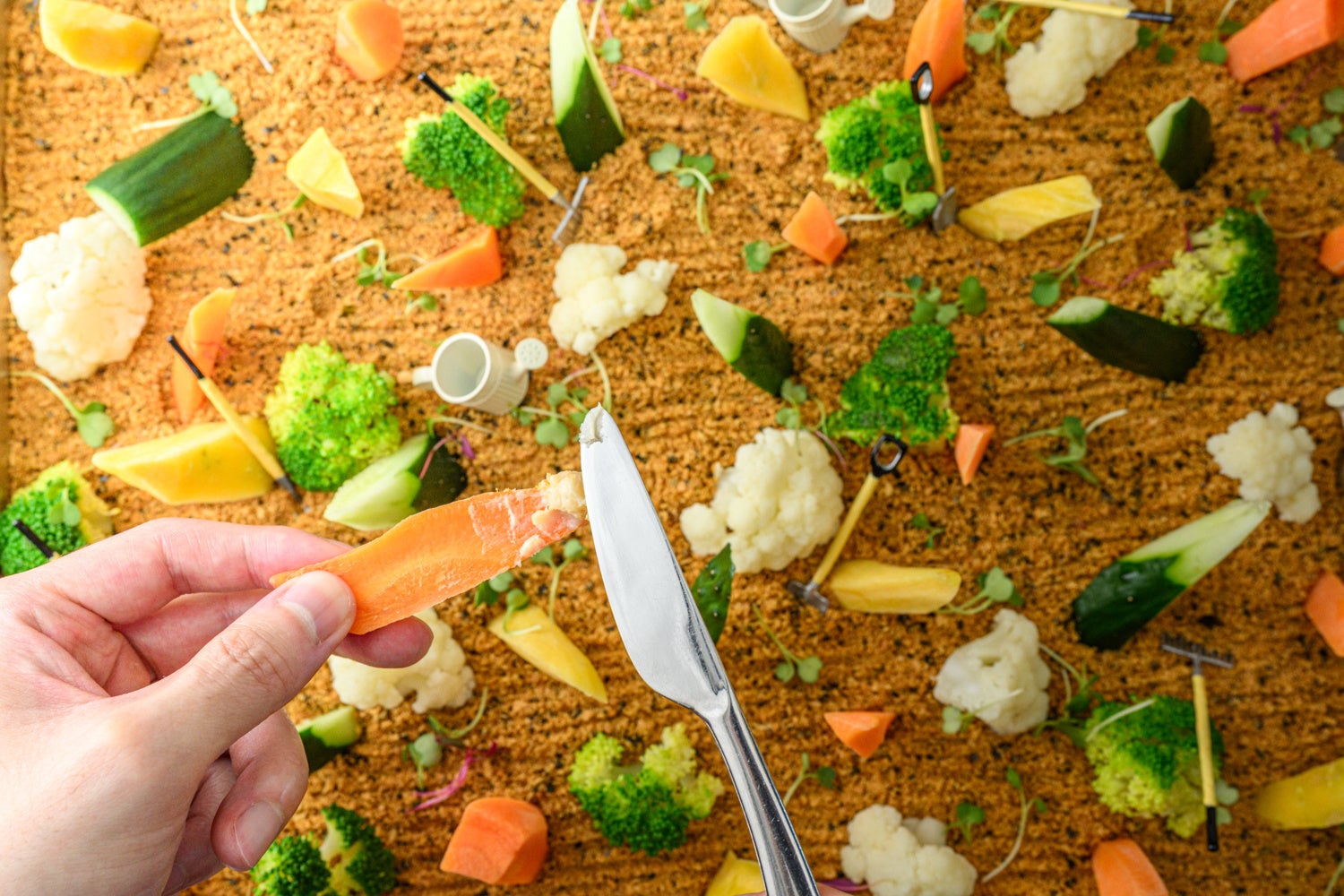 小学校をリノベーションしたグルメ複合施設「神戸北野ノスタ」実りの秋を味わう新メニューが登場！