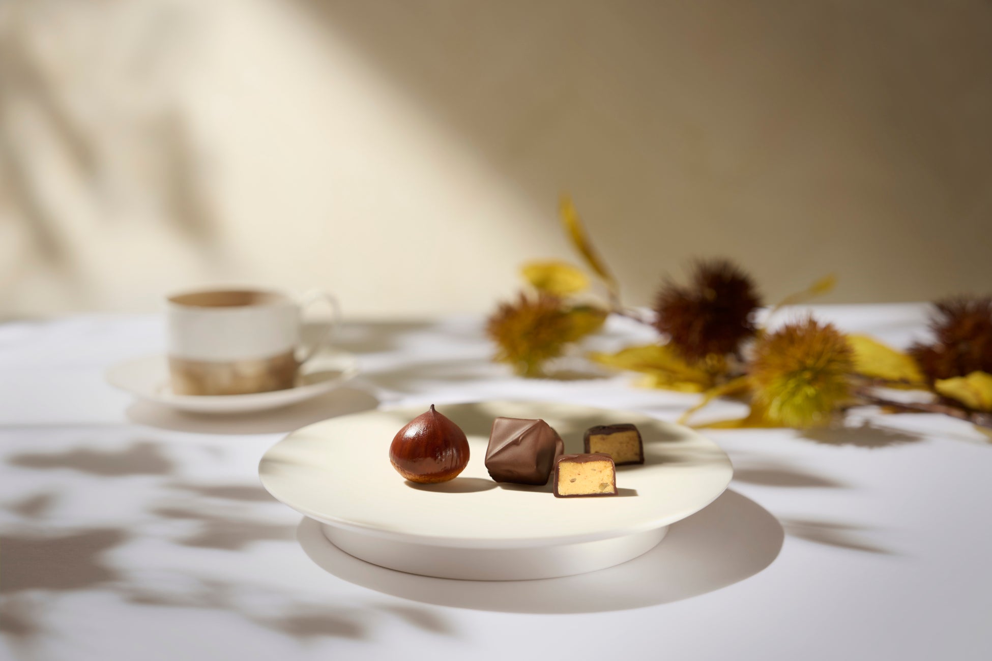 1年で納入店舗数が2倍成長。日本酒ブランド「SAKE HUNDRED」の小売店、飲食店限定商品『弐光』