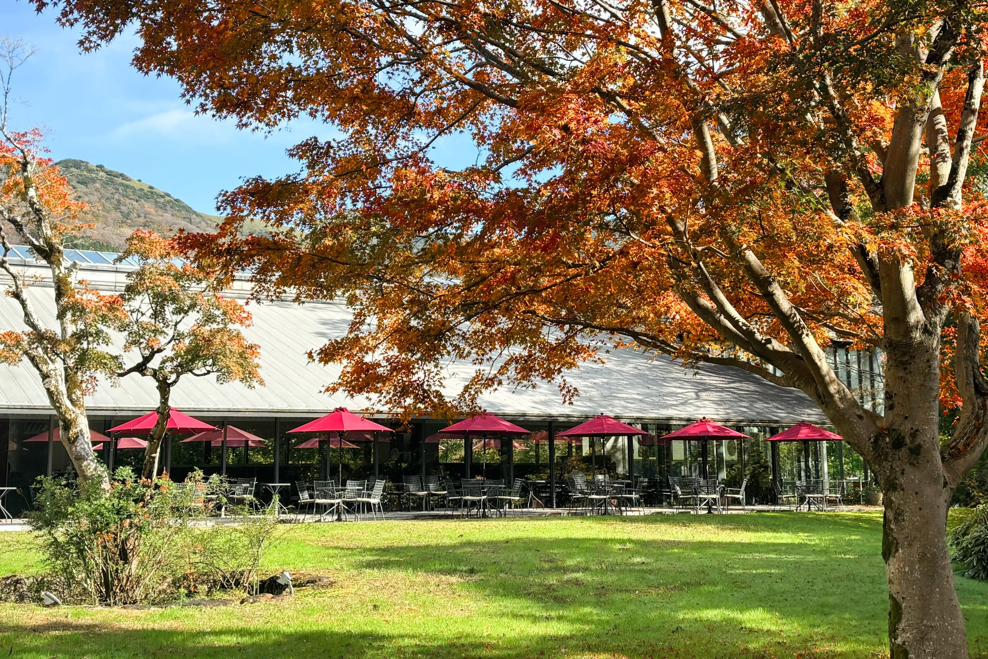 「駅弁味の陣2025」　を開催します！～駅弁誕生140周年。推し駅弁は、どれだ。～