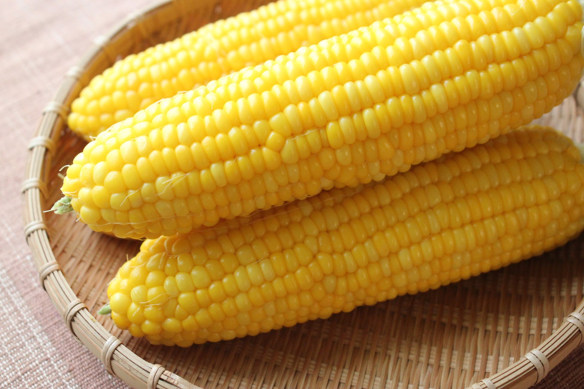 【鳥羽国際ホテル】聖なる夜を彩るクリスマスケーキを販売 ~3種類からお選びいただけます!~