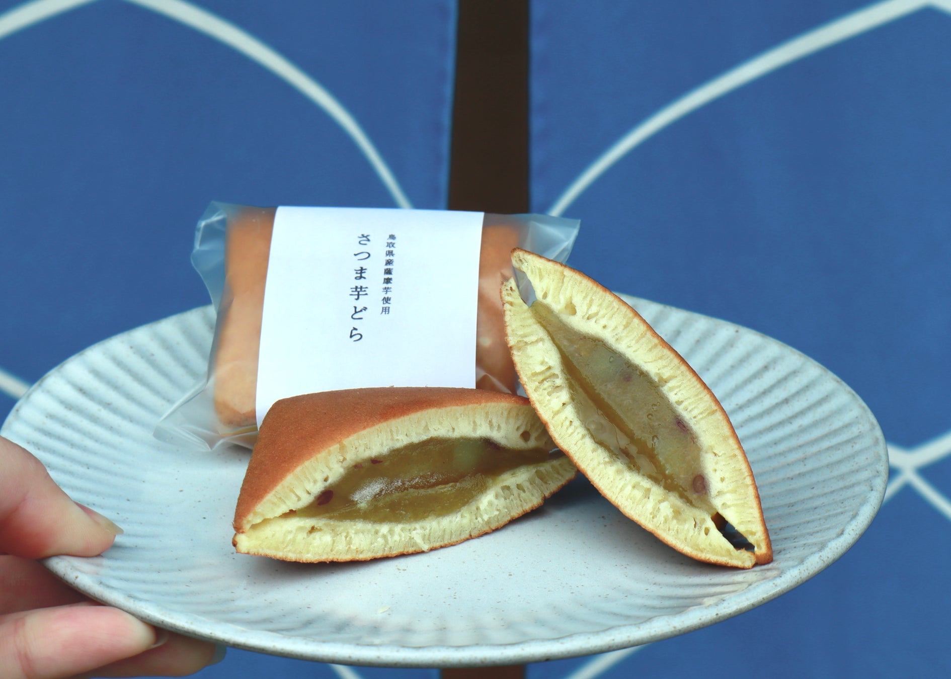 秋になったらスイカバーがチョコバーに！？あのスイカバーのおともだちが登場！秋冬限定『チョコ＆バニラバー』2025年9月29日（月）より、全国にて発売開始！