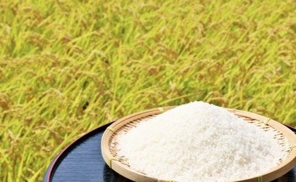 【ジョリーパスタ】熱々の“鉄板パスタ”が今年もホットに再登場！「播磨灘産牡蠣のクリームソース」など“鉄板パスタ”3品を発売！