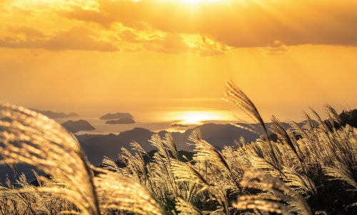 第４の選択肢！運転免許不要の特定小型原付を導入配達手段の多様化で採用間口の拡充を目指す「銀のさら」2025年9月～専用配達員の募集を開始