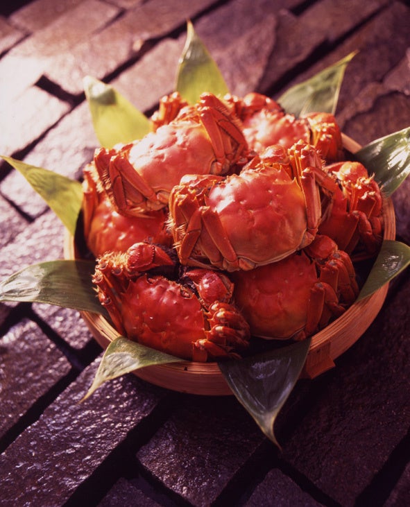 『えっお得すぎひん？』緊急特大キャンペーン実施中！！！！締め切りまであと少し