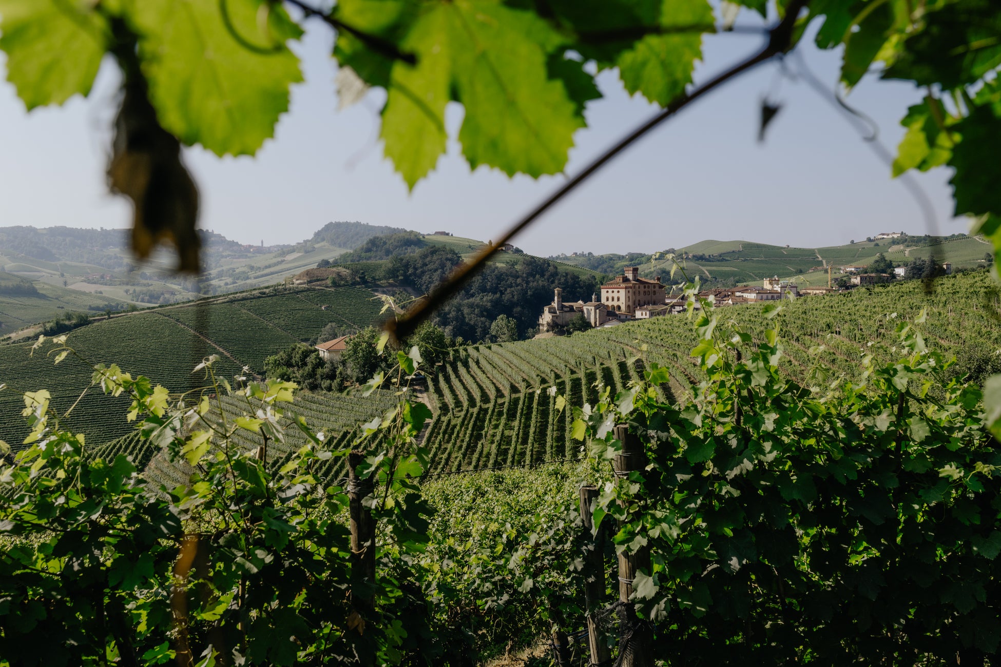 『海中レストラン萬坊』リニューアルのお知らせ