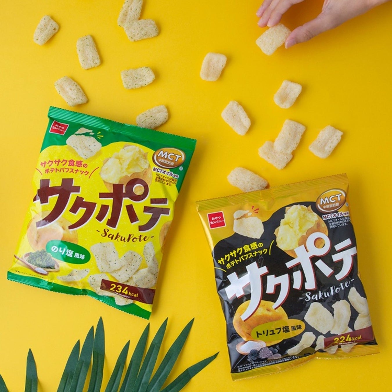 東京ドームホテルの“隠れ家”で聖なる夜を彩る、オマール海老や黒毛和牛を堪能するクリスマス限定フレンチディナーが登場。10月1日(水)より予約開始