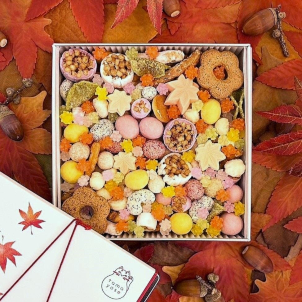 【坂角総本舖】台湾に初出店!新光三越南西店に常設店