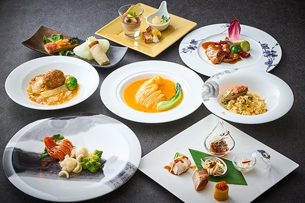 岩渕麗楽の初めてシリーズ第４弾「ソロキャンプデビュー」実はインドア派？岩渕さんがキャンプ飯に初挑戦！