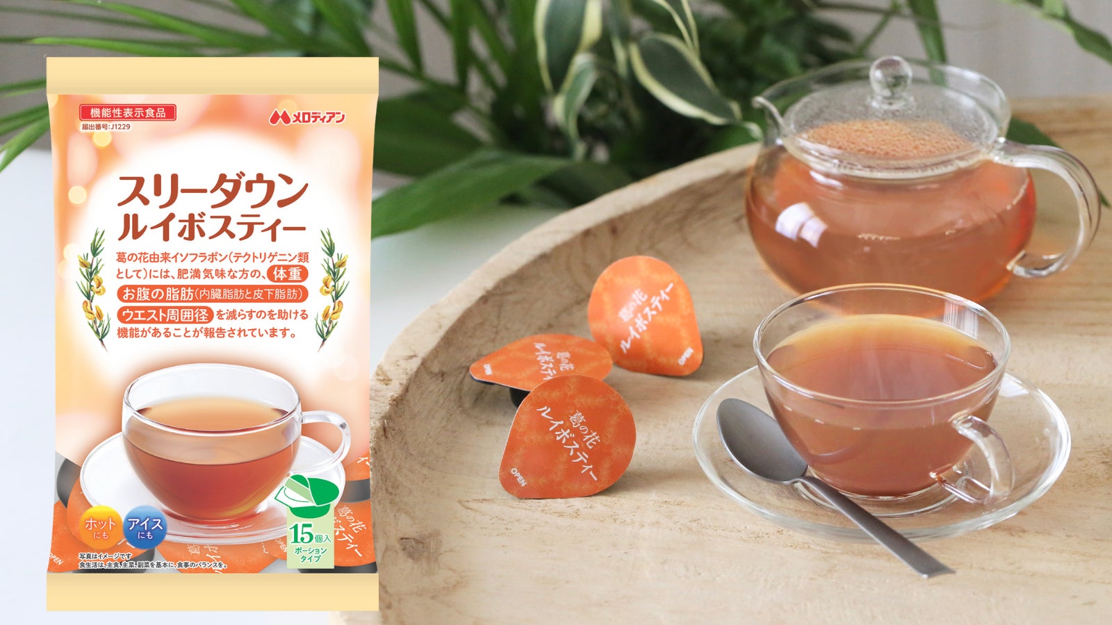 韓国発フローズンヨーグルト「YOAJUNG（ヨアジョン）」と韓国ファッションブランド「BARDOT PARIS」が渋谷モディに期間限定 登場｜