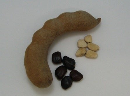 テレビ朝日「ザワつく！金曜日」で紹介！三代続く『金屋食堂』（福岡・朝倉）、公式通販サイトをオープン