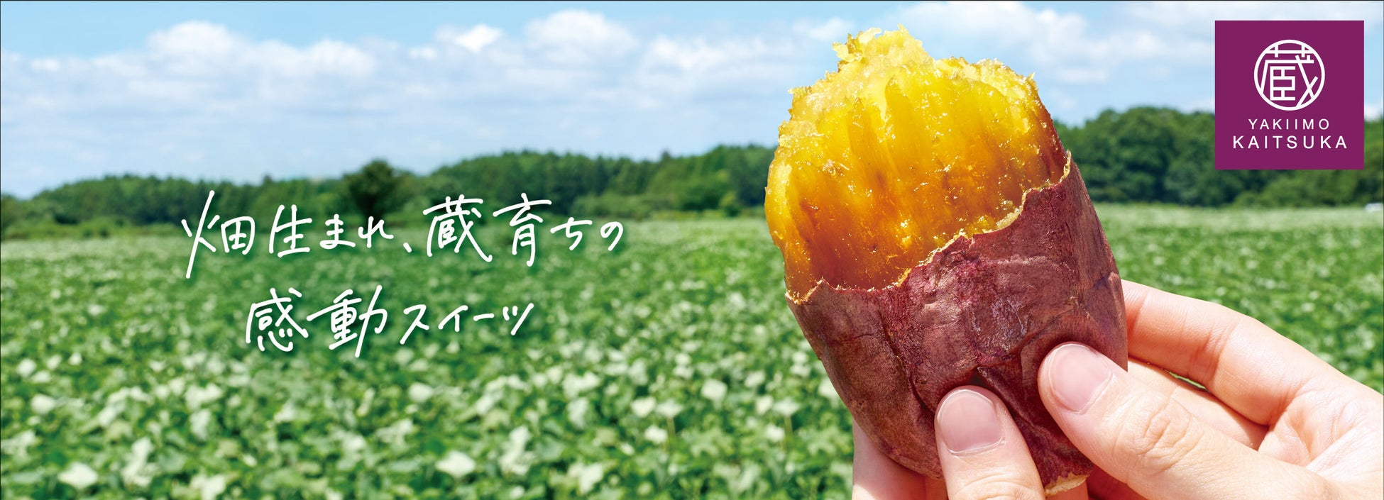 オンライン限定商品が新登場！10月1日（水）より「ガトー アミカル」販売開始