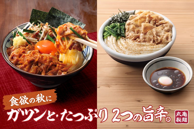 【東北初出店】『生パスタ専門店スパラ』がイオンモール仙台上杉にオープン!!店内で作るもちもち自家製生パスタと焼きたてピザを提供