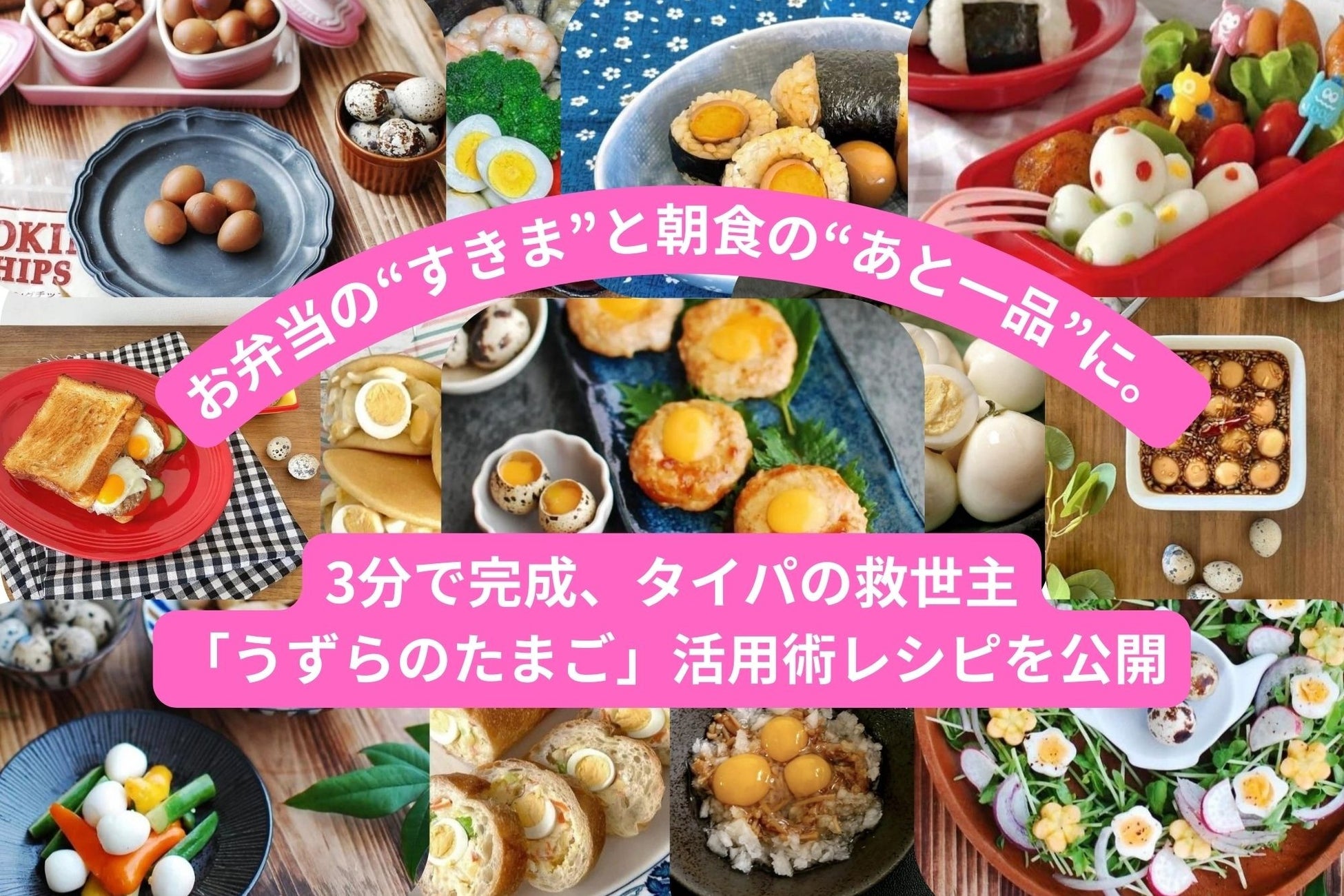 食品接触に対応した「PFASフリー耐油剤」「紙用耐屈曲水性コーティング剤」を開発し、10月1日より販売開始