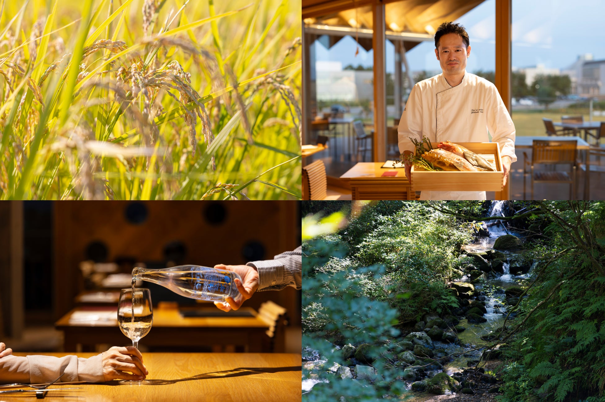 【スナックミー】実りの秋をぎゅっと詰め込んだ『彩りあつめた秋のおすそわけクッキー缶』をオンラインストアで販売開始