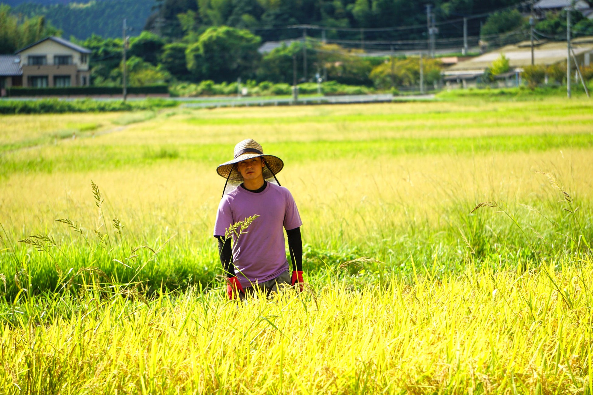 「ゆめタウン・ゆめマートのクリスマス２０２５」予約受付開始！
