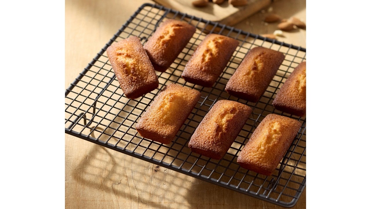 【期間限定シリーズ】全4回にわたる“五感で味わうお菓子体験”プロジェクト〈第2弾〉「ピスタチオチェリー」の味わいは、愛嬌あふれる“犬”の姿に?!