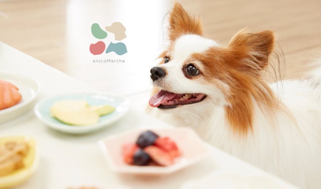 2025年9月25日(木)、26日(金)に東京ビッグサイトで開催されたラーメン産業展in JAPANでISSUE PANDA新機能を発表！