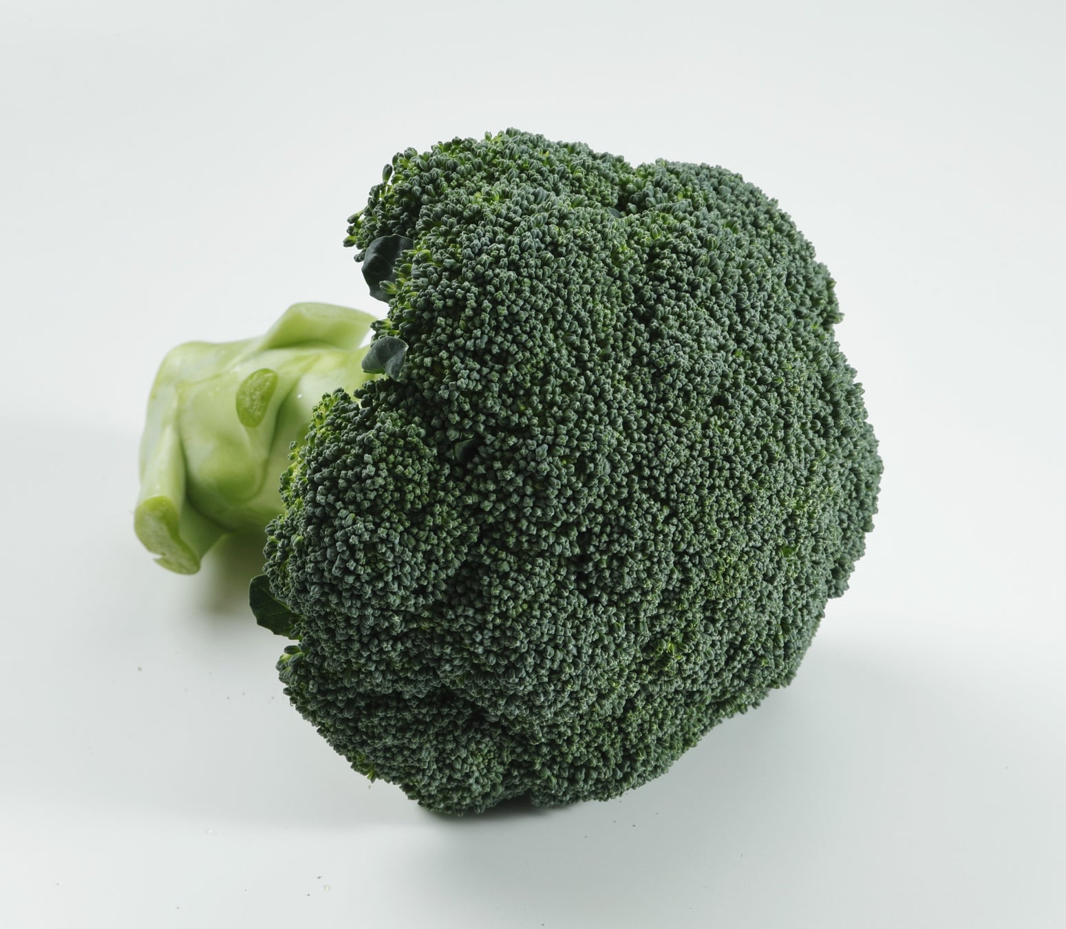 知る人ぞ知る「フルーティフル」が12年ぶりに復活! ゴロゴロ完熟いちごを濃厚なミルクアイスにたっぷり混ぜ込みました♪ 「フルーティフル贅沢いちごミルク」