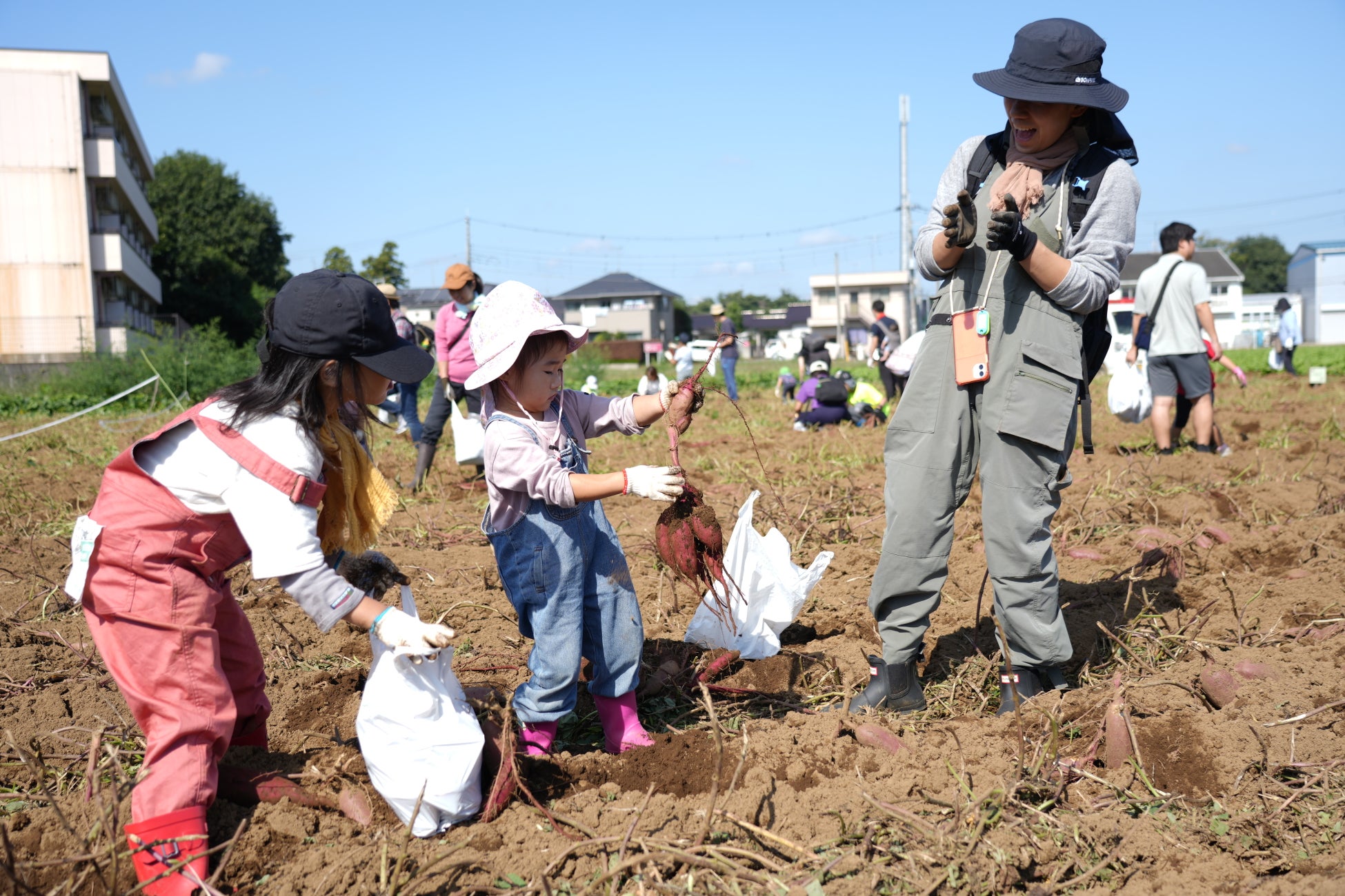 代官山のFLUX CAFEが 野菜たっぷりの栄養バランス弁当を販売する愛媛の「オイシイオト」とのコラボレーションカフェとして、2025年10月1日にリニューアルOPEN