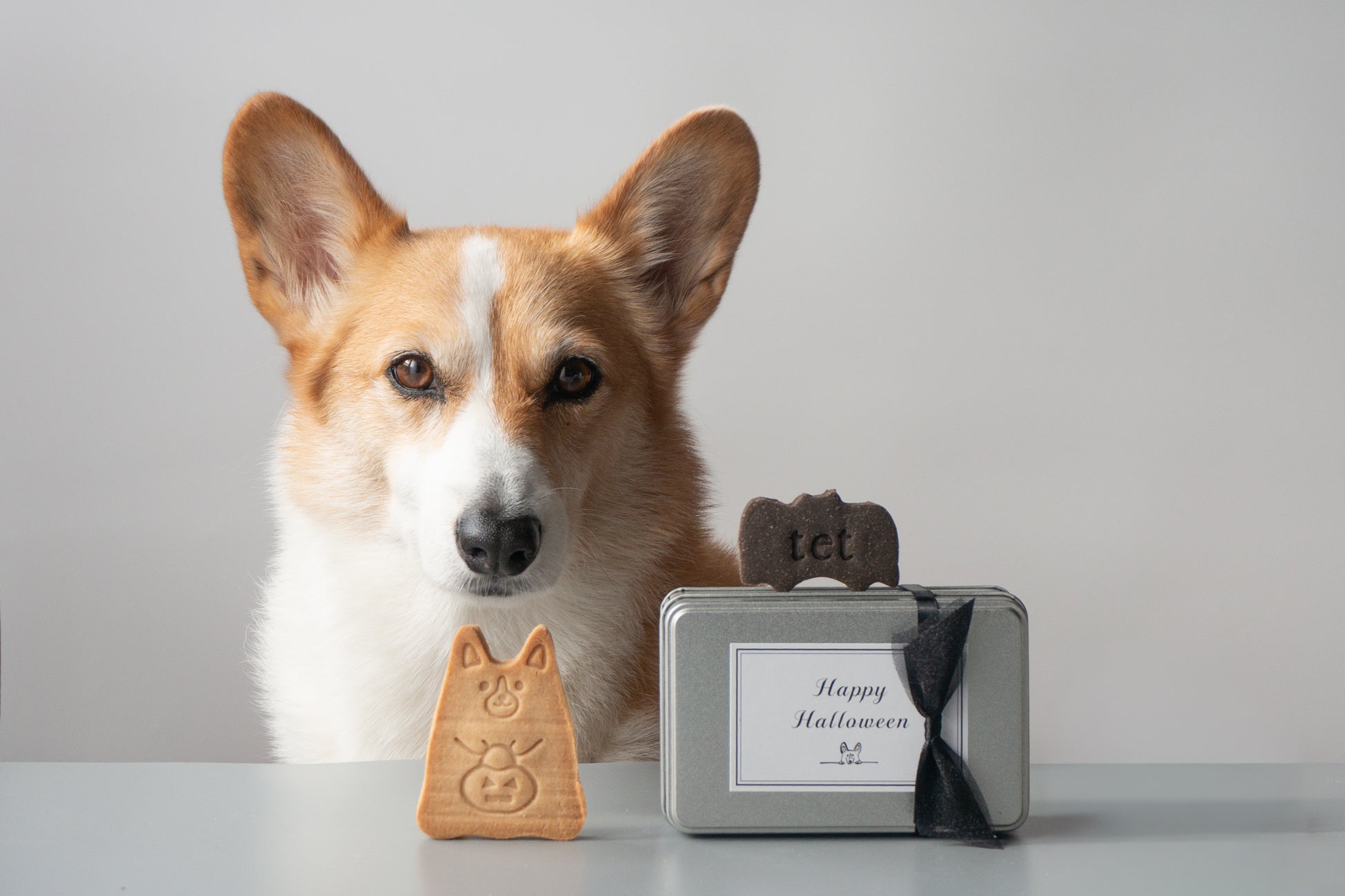 ダイナースクラブ、世界的シェフ アラン・デュカス氏とともに福井県で「テロワール×グルメ」イベントを開催。生産者と料理人を繋ぐガストロノミーツーリズムを推進。