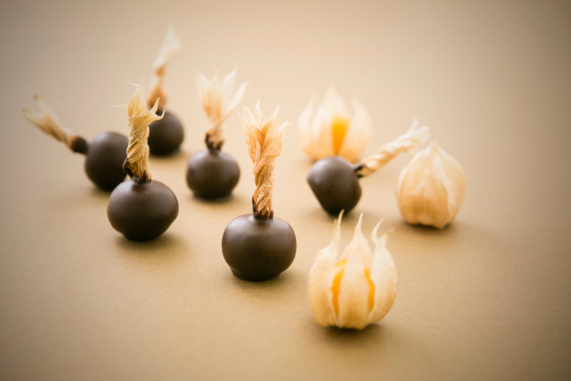 “食欲の秋もかっぱ寿司で楽しもう”「かっぱの食べホー」400円OFF「平日割」、800円OFF「平日学割」を本日より10/15(水)まで延長！「平日割」＋「平日学割」で最大1,200円OFF！