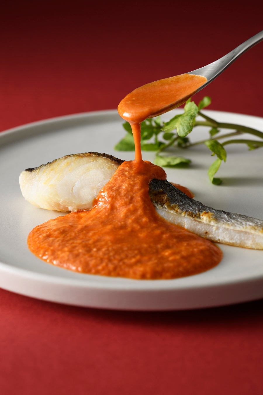 【美×食×医療 共同プロジェクト開催のお知らせ】再生医療と栄養学の融合で、健康と美の新たな可能性を提案