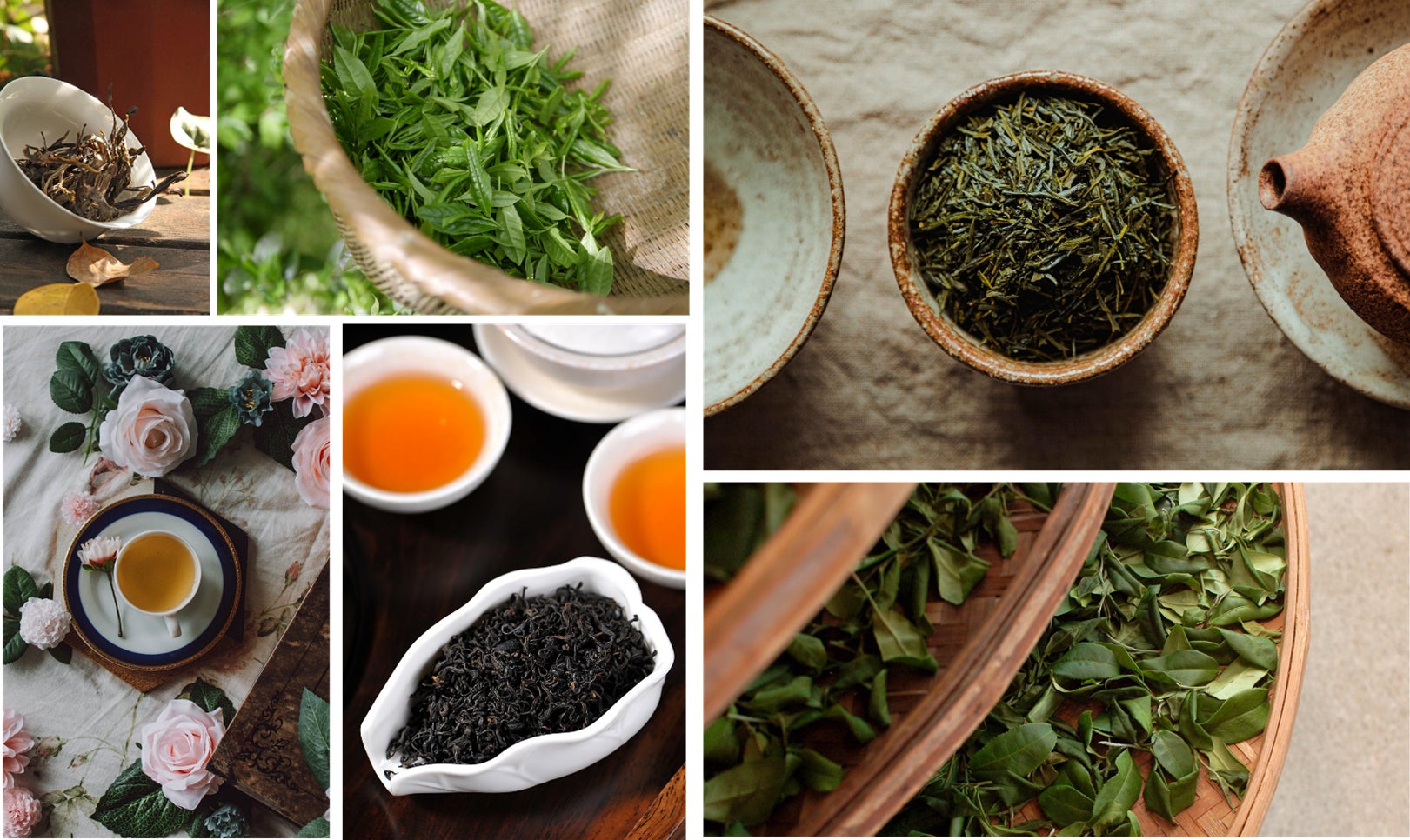 「どこにも真似できない甘納豆づくり」にこだわる株式会社銀座鈴屋、シャディグループ参画後、待望の直営店第1号となる「銀座鈴屋 江古田店」を東京都練馬区小竹町に2025年10月3日(金)グランドオープン。