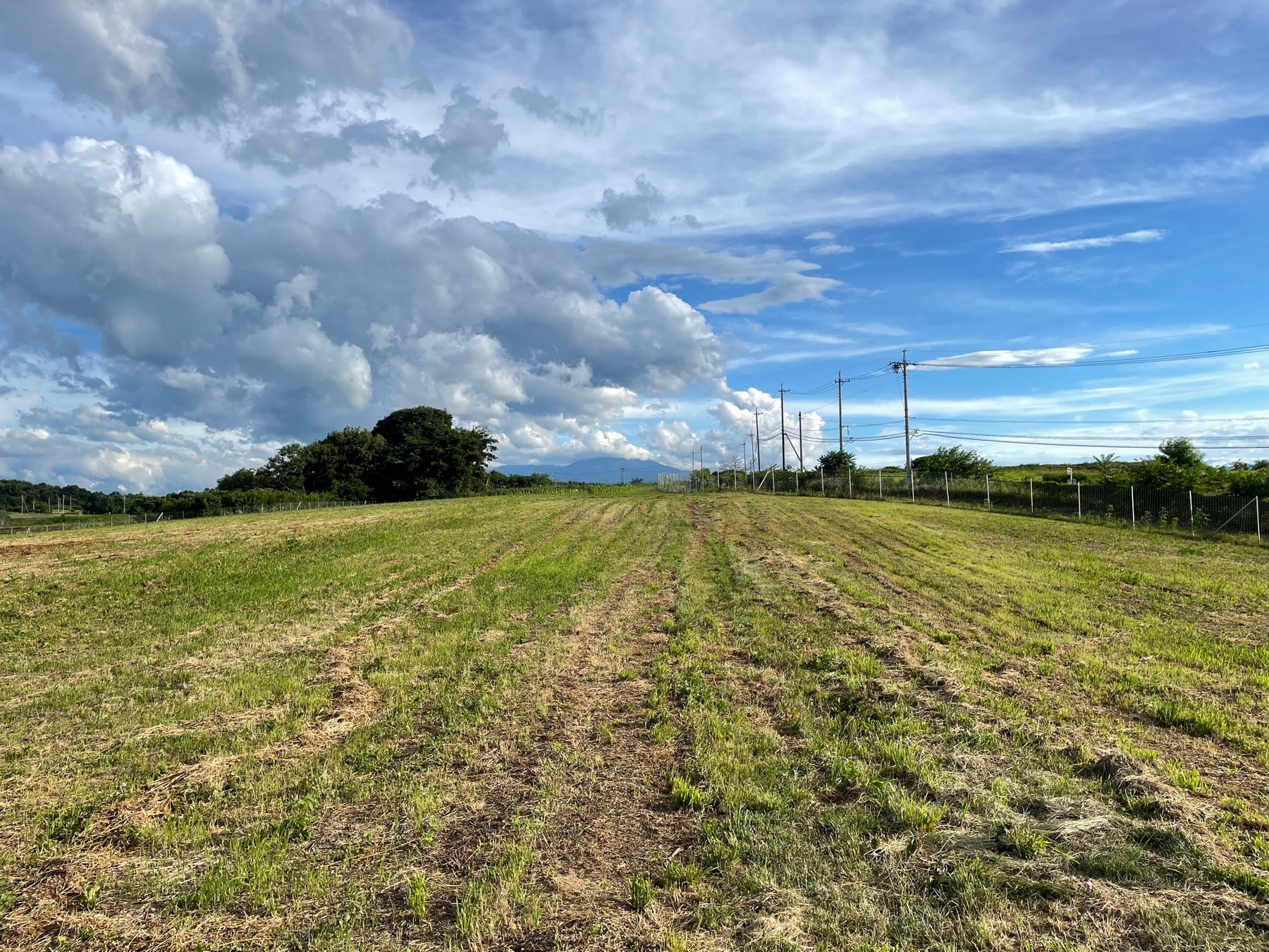 昭和100年プロジェクト/秩父湯元 武甲温泉に、秩父で100年続く老舗食堂「パリー食堂」監修の昭和レトロメニューが登場
