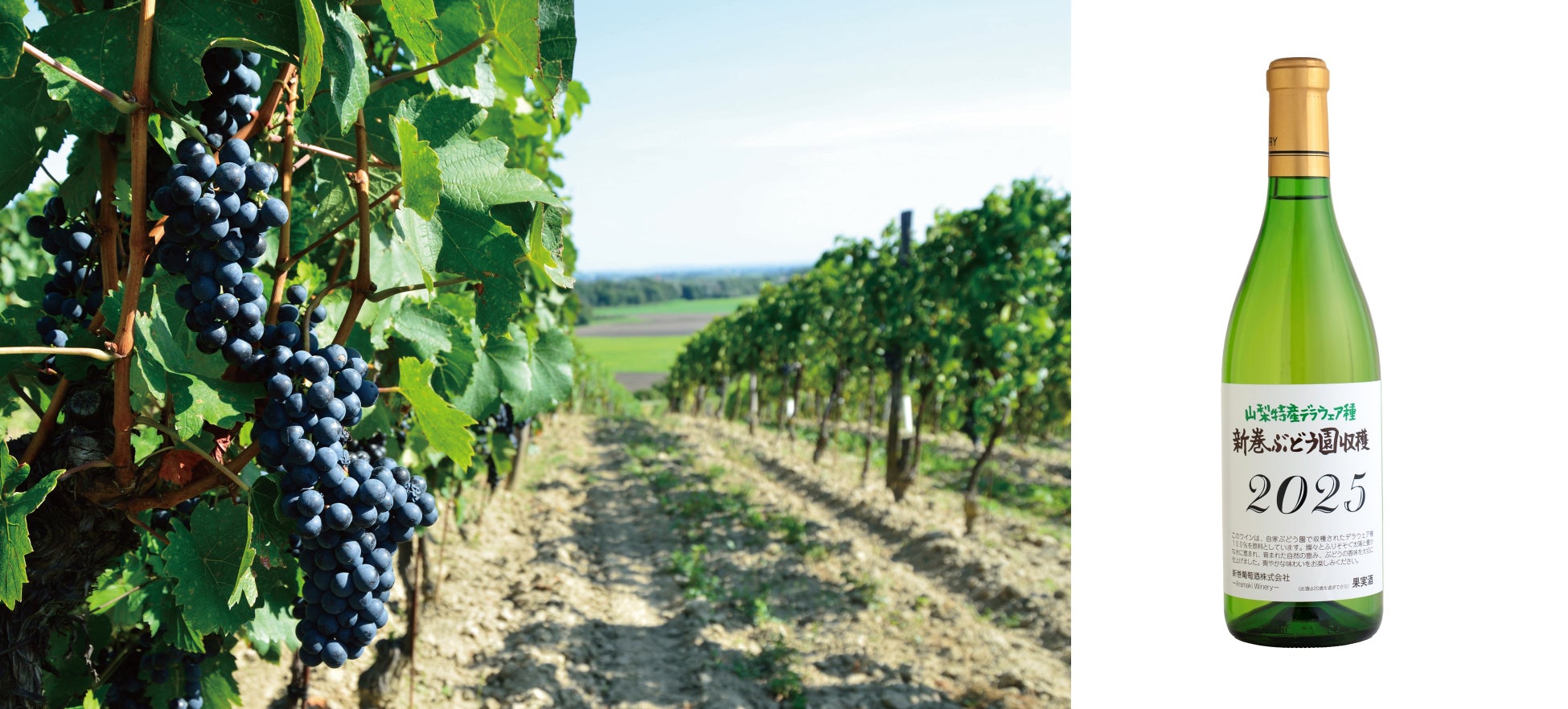 ソムリエAI「KAORIUM for Sake & Wine」、日本酒の銘柄登録が1万件を突破 “風味の言語化”で日本酒の新しい楽しみ方をご提案